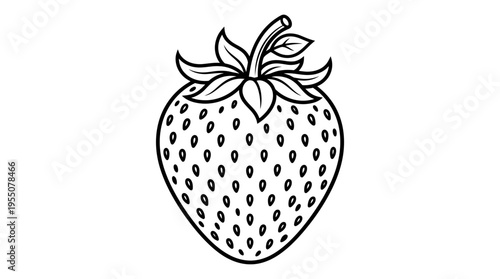 Strawberry Fruit Illustration.