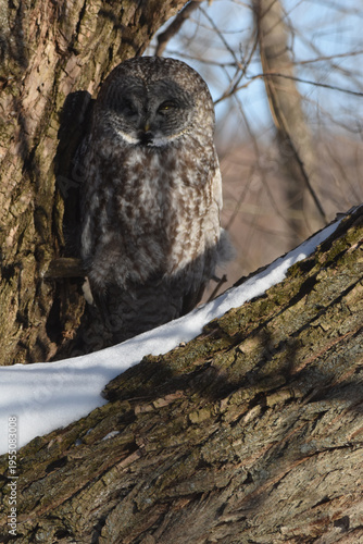 Parc Maritime Nicolet 22 Février 2026