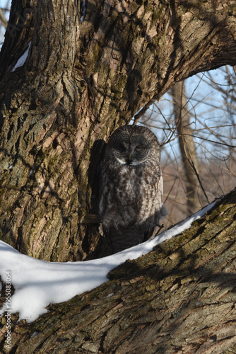 Parc Maritime Nicolet 22 Février 2026