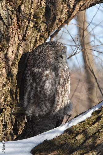 Parc Maritime Nicolet 22 Février 2026