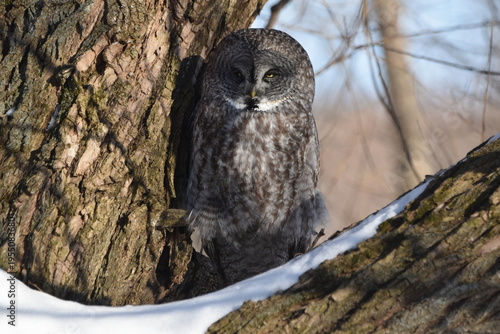 Parc Maritime Nicolet 22 Février 2026