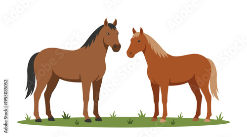 Two horses, a stallion and a mare, standing on a grassy lawn in a pasture, depicted as a flat vector illustration on a white background