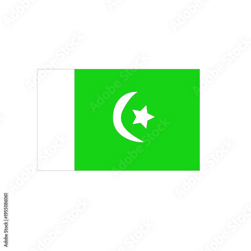 flag vector pakistan flag vector green 