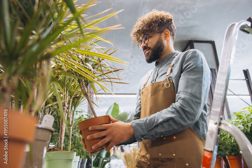 Male florist working inside a plant nursery or garden center, carefully inspecting a potted plant in his hands
