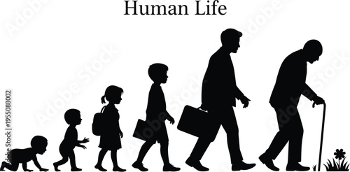 Human Evolution Silhouette from Child to Old Man