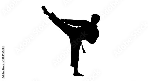 Silhouette of a Martial Artist Performing a High Side Kick