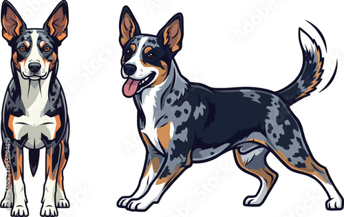 Koolie dog standing facing front happy playful wagging tail pose set