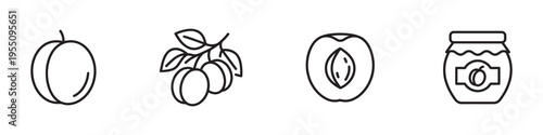 Apricot fruit icon set. Line art vector collection of whole apricot, half with pit, branch with leaves, and jam jar. Isolated on white background. Vector Illustration.