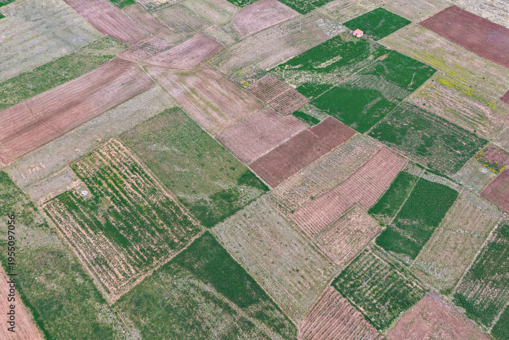 Fototapeta premium Aerial view of agricultural plots during planting season on high Andean plateaus