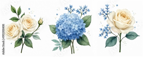 Elegant watercolor floral arrangement features soft cream roses, blue hydrangeas with green leaves. Delicate blossoms create beautiful natural compositions perfect for feminine designs event