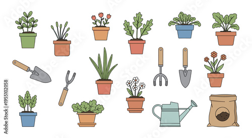 Various potted plants and gardening tools, including a watering can and a bag of soil, are arranged on a white background.