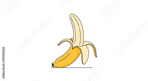 A single, partially peeled yellow banana stands upright on a thin black line against a pristine white background.