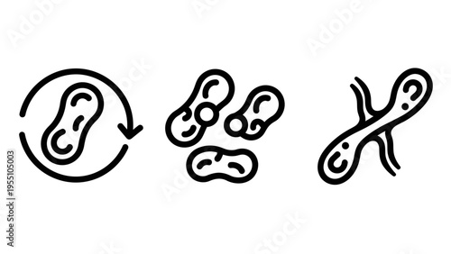 Microbiology and scientific research icon set representing bacterial cells microbes germs mitosis reproduction and biological life cycles in a simple black and white line art minimalist style