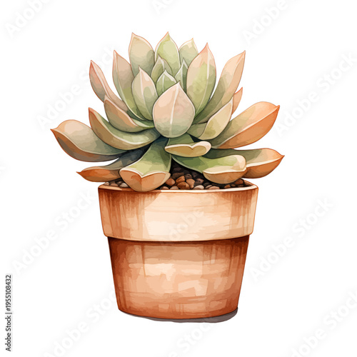 Watercolor Succulent Plant in Terracotta Pot Clipart Isolated