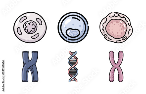 Cell Biology and Genetics Illustration Set with Human Cell Structure, DNA Helix, and Chromosomes for Education
