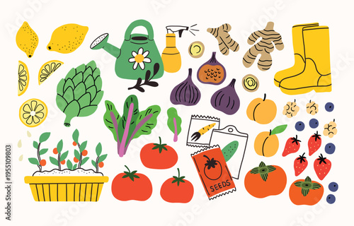 Set of garden tools and farm or backyard equipment. Summer or spring doodle collection. Tomato, berries, ginger, figs, lemon, persimmon, artichoke. Vegetable and fruit gardening, boots, watering can.