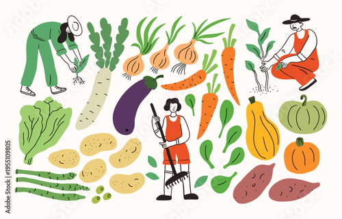 Farm agricultural workers or local farmers working in the garden, field. Seasonal fresh vegetables: sweet potato, pumpkin, salad, carrot. Hand drawn simple ink doodle illustration. Farming.