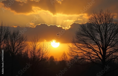 Bare trees silhouette against vibrant orange sky at sunset. Sun beams pierce through clouds above misty forest line. Bird flies across warm evening horizon, peaceful nature scene.