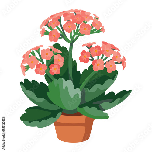 Red flower in a pot with leaves and petals in a garden setting