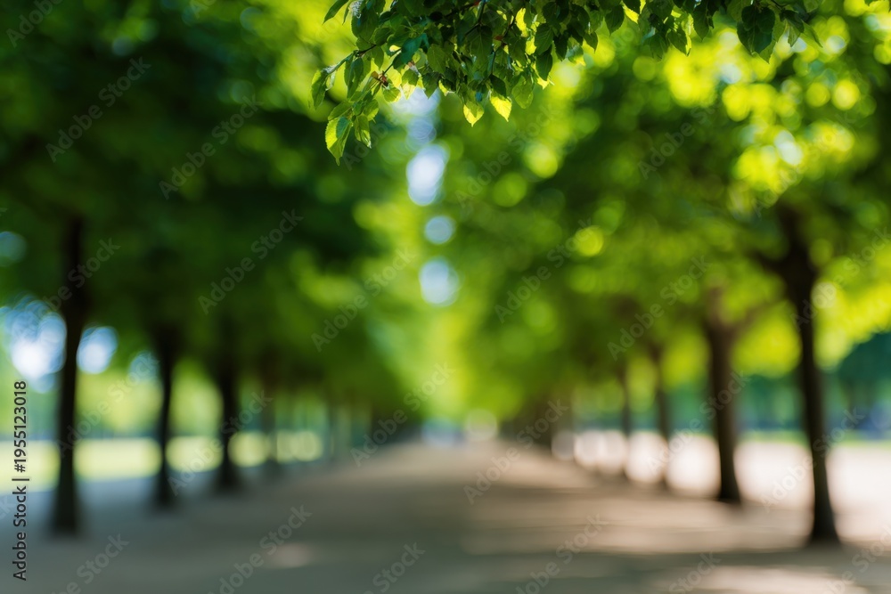 Obraz premium Tree alley perspective blurred foreground leaves framed path symmetrical green rows peaceful park vista