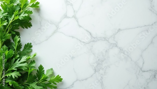 Fresh green parsley sprigs on white marble surface. Aromatic herb bunch used for cooking and garnishing. Ingredient for healthy organic food preparation.