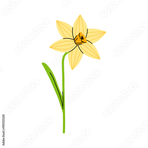 Vector simple yellow daffodil flower. Cute spring narcissus illustration perfect for easter greeting card, wedding invitation, logo, sticker, pattern, nursery decor and botanical branding.