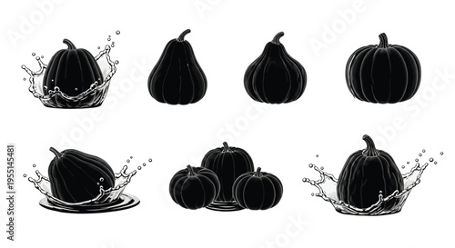 Black gourds and pumpkins with water splashes in a studio setting
