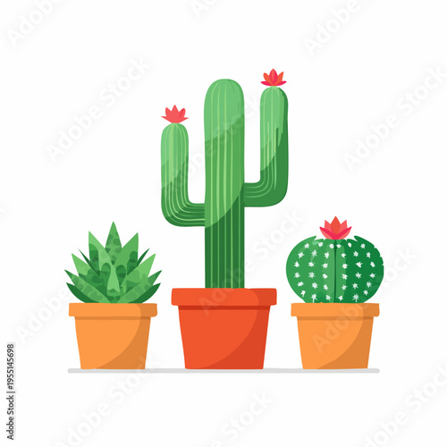 Various potted cacti and succulent plants with red flowers