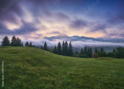 Foggy morning in the mountains. Summer dawn in the Carpathians. Nature of Ukraine