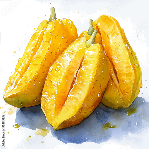 Starfruit, delicate painting watercolor vector with vivid brush accents, isolated on a white background.