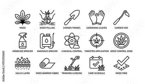 Gardening tools and techniques for weed control and maintenance