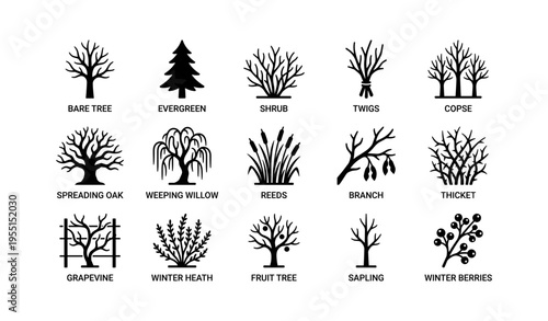 Silhouette icons of various trees and shrubs: evergreen, willow, oak, grapevine, sapling