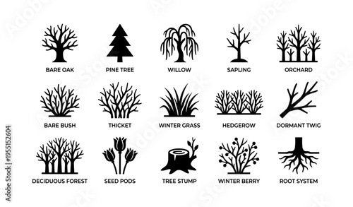 Tree and plant silhouettes: oak, pine, willow, sapling, orchard icons