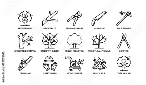 Tree maintenance icons: pruning tools and techniques illustration
