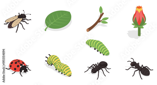 Isometric garden creatures and nature elements collection