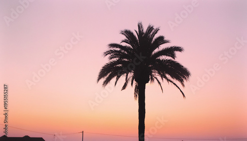 A lone palm tree stands silhouetted against a breathtaking twilight sky, bathed in soft pastel hues of orange and pink