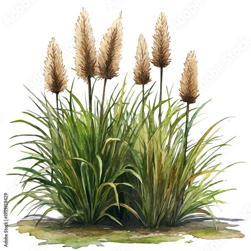 Summer Breeze, lively watercolor vector drawing with intricate brush, isolated on a white background.