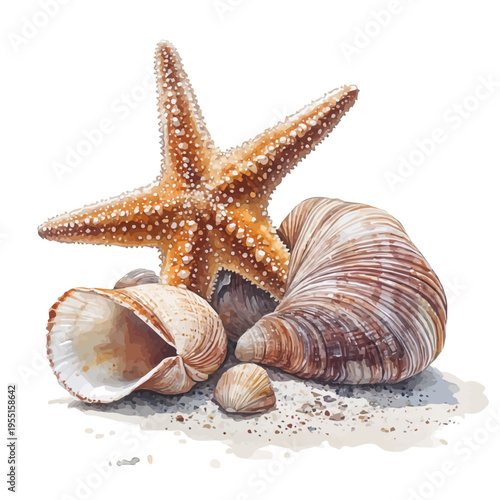 Starfish And Beach Shells, serene watercolor vector artwork with smooth washes of color and refined textures, isolated on a white background.