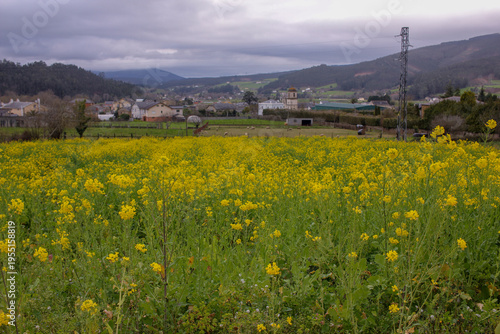 Spring landscape in Galicia, Spain.