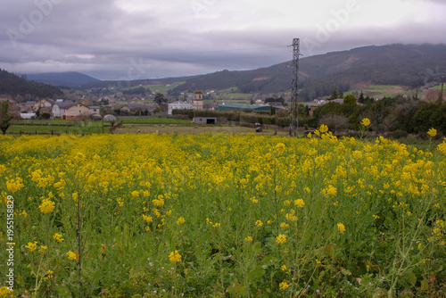 Agriculture and farming in the countryside.