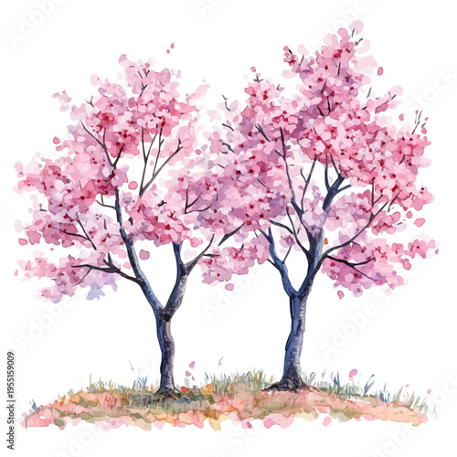 watercolor hand-drawn of Spring Rain Cherry Trees, isolated on a white background.