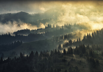 Leinwandbilder Khaki silhouettes of morning mountains. foggy morning in the Carpathians. Mountain landscape  © sergnester
