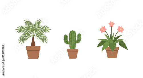 Collection of potted plants with palm, cactus, and tropical flowers