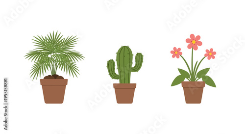 Minimalist potted plants trio: palm, cactus, daisy delight