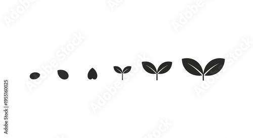 Growth stages of a plant depicted in minimalist silhouette design