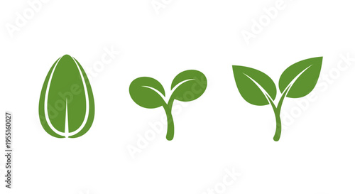 Growth stages of a plant: seed to leaf concept in minimal design
