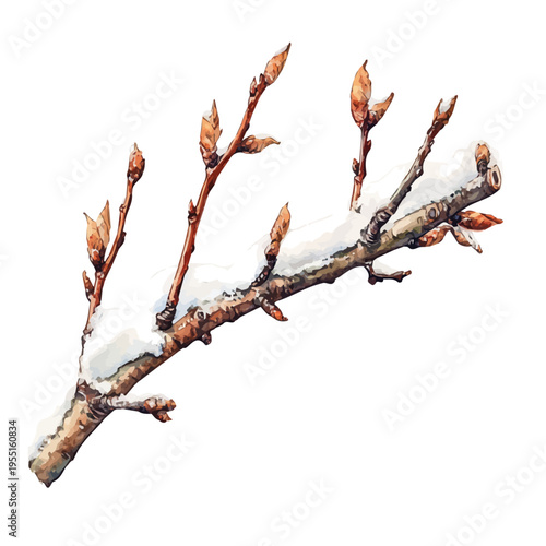 Snow-covered Branch, serene watercolor vector artwork with smooth washes of color and refined textures, isolated on a white background.
