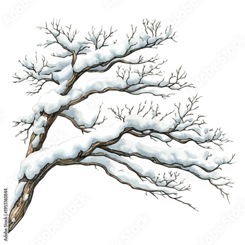 Snow-covered Branches Closeup, lively watercolor vector drawing with intricate brush, isolated on a white background.