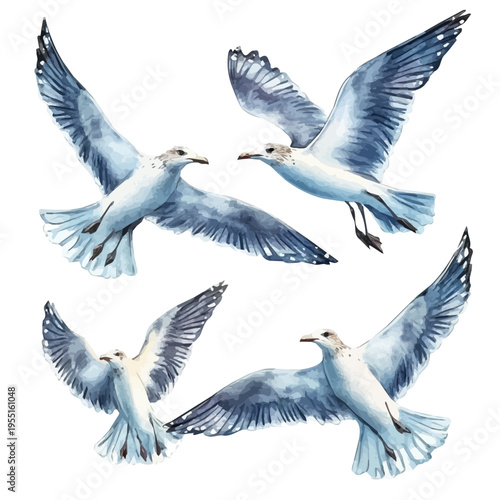 watercolor hand-drawn of Seagulls Flying Blue Sky, isolated on a white background.