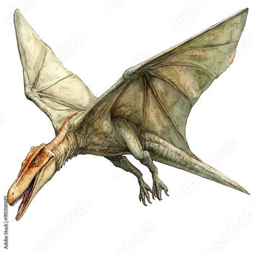 Pteranodon, whimsical watercolor vector illustration with vibrant highlights and delicate strokes, isolated on a white background.